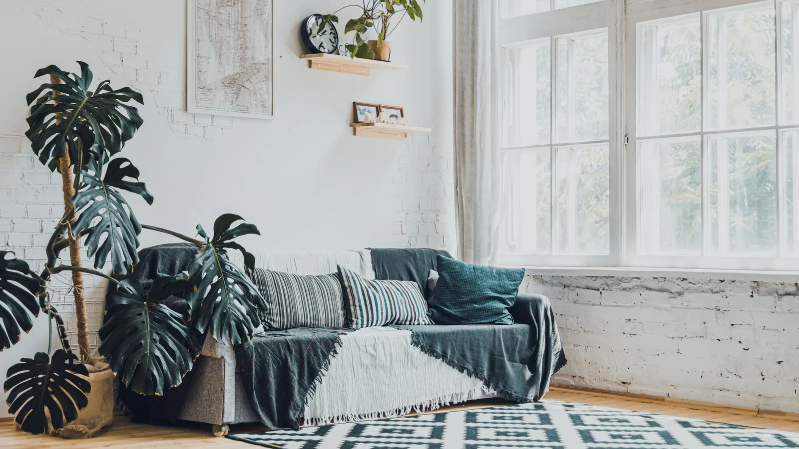 A bright living room with houseplants, a fabric couch and a patterned rug on timber flooring