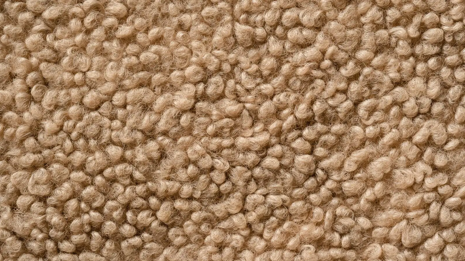 Close-up of beige loop pile wool carpet showing the twisted fibre tufts