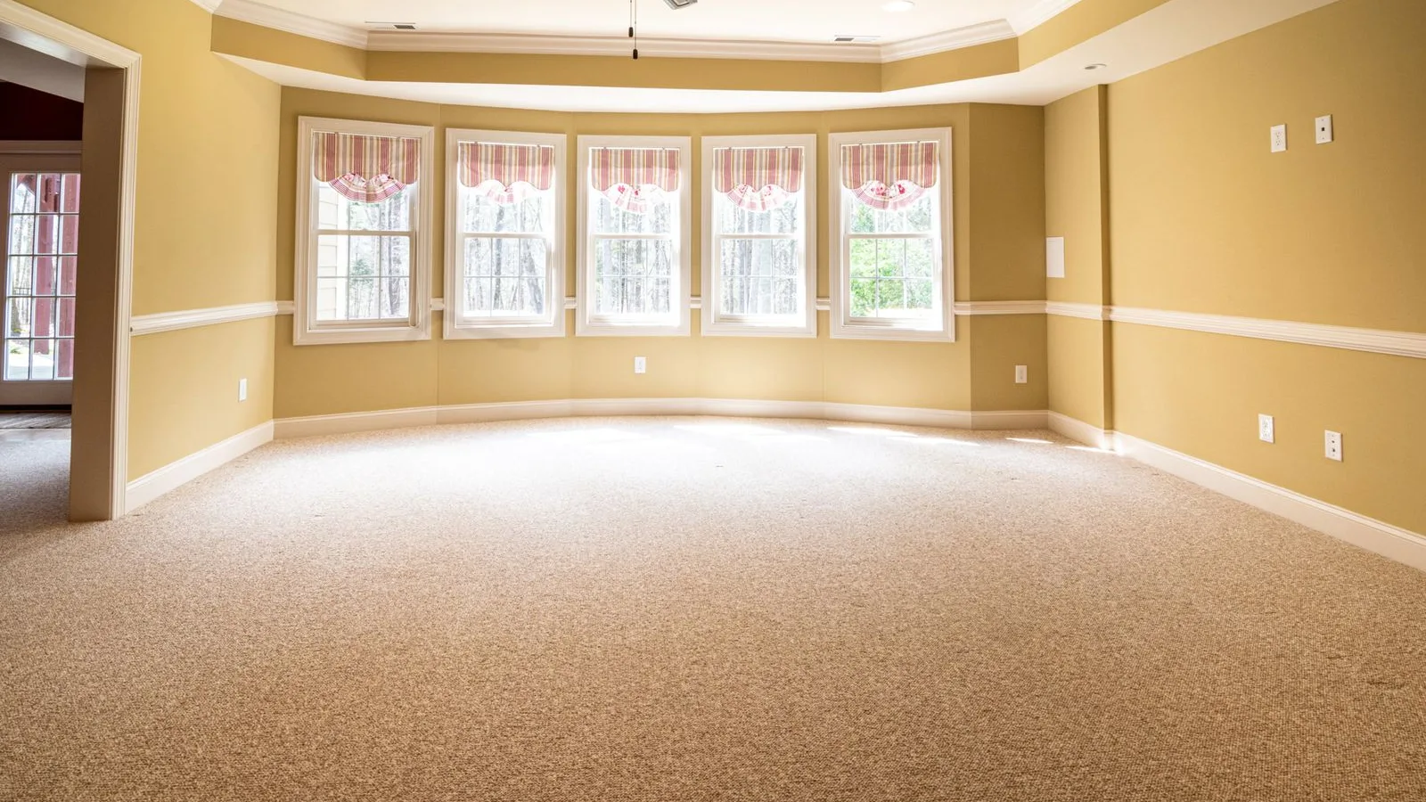 Empty room with beige carpet and a row of sunlit windows along the back wall