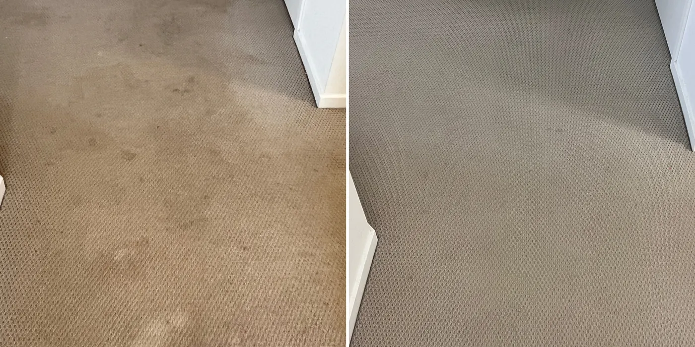 Traffic lanes lifted from a family living-room carpet, western Melbourne