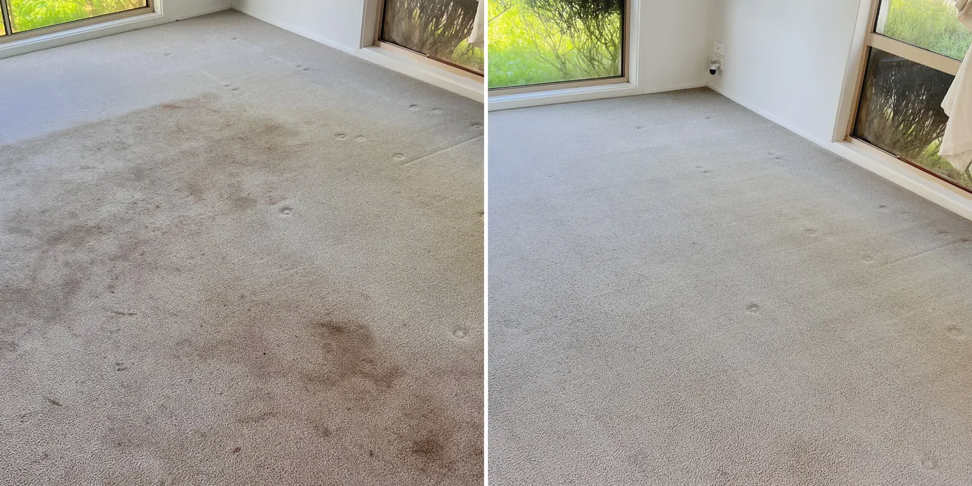 Carpet before and after a Green Lion deep clean, Melbourne's western suburbs