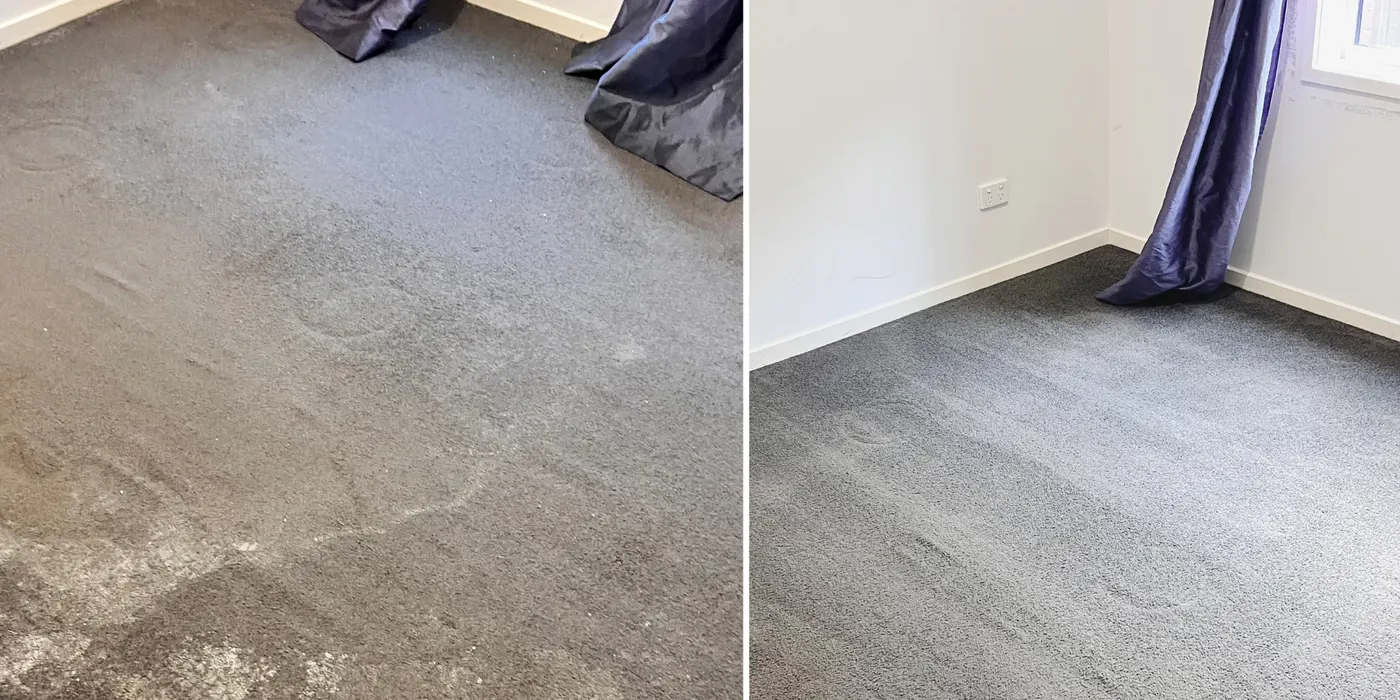 Living-area carpet before and after cleaning by Green Lion