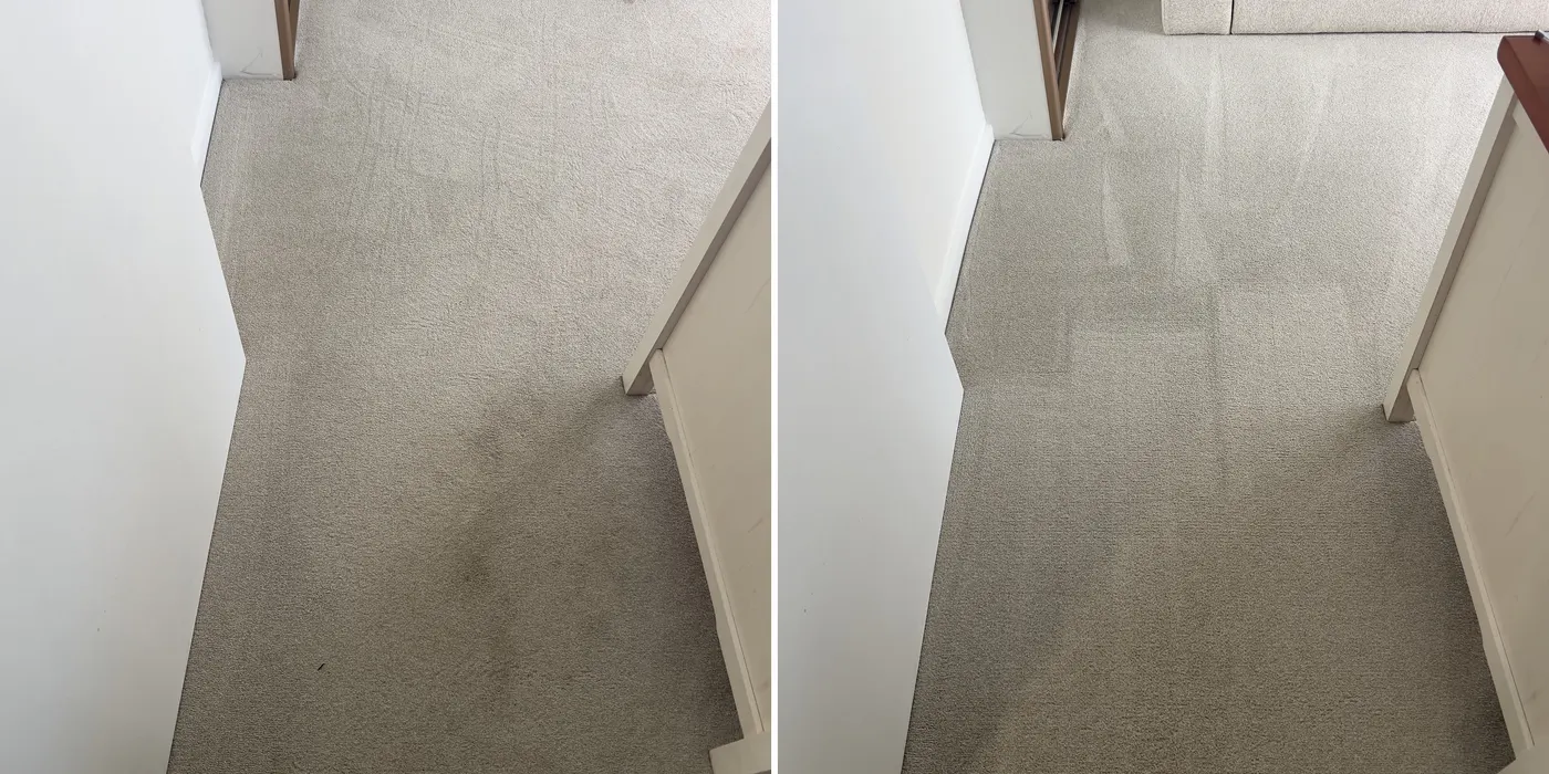 Bedroom carpet before and after a dry clean by Green Lion, the soiling through the doorway lifted out