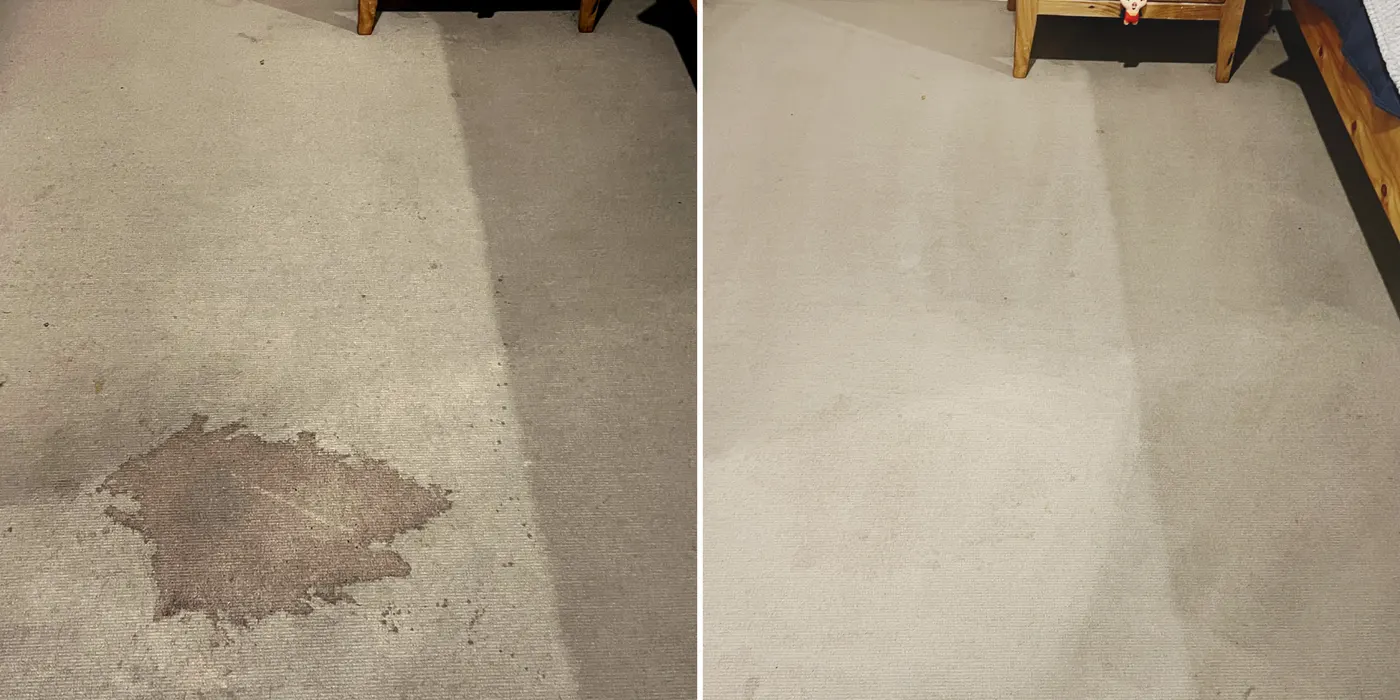 Carpet before and after a deep clean — a real Green Lion job