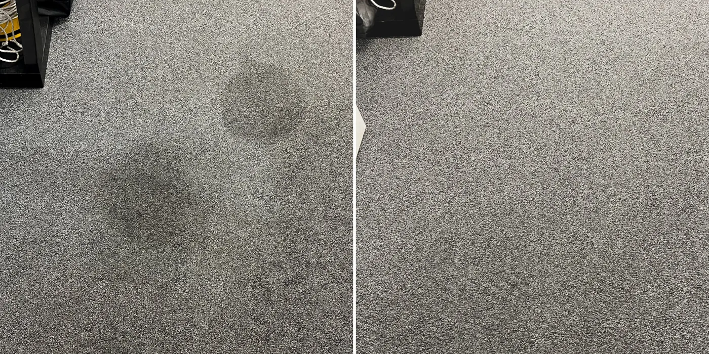 Stains lifted from a family carpet across Melbourne's west
