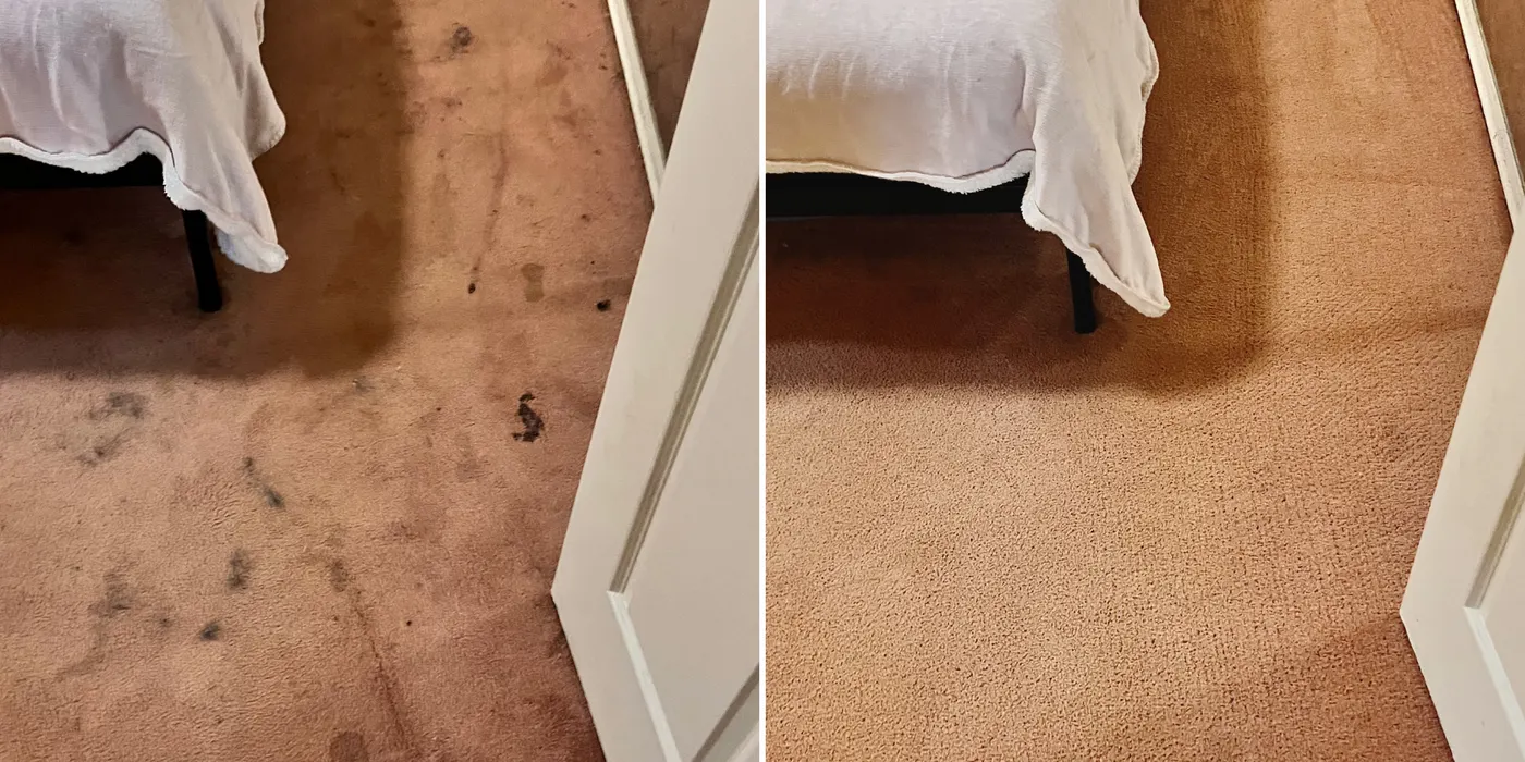 Carpet before and after a Green Lion deep clean — real job, Melbourne's west