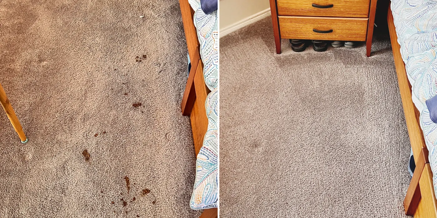 Years of foot traffic lifted from carpet on a western Melbourne job