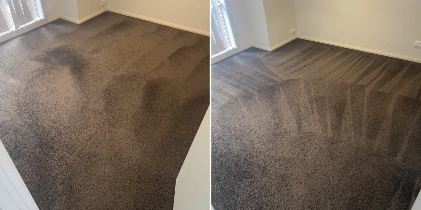 Dark traffic marks across a Laverton lounge carpet, before and after cleaning.