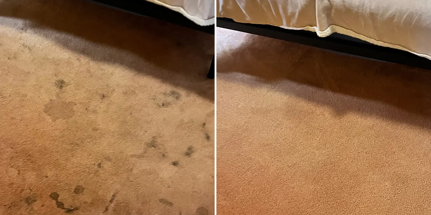 Before and after of a carpet deep clean by Green Lion