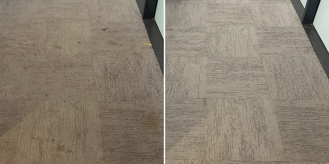 Carpet before and after a Green Lion clean — the kind of result we get in Point Cook homes