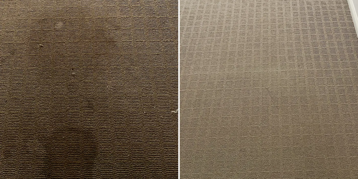 Carpet before and after a Green Lion deep clean — Melbourne's west