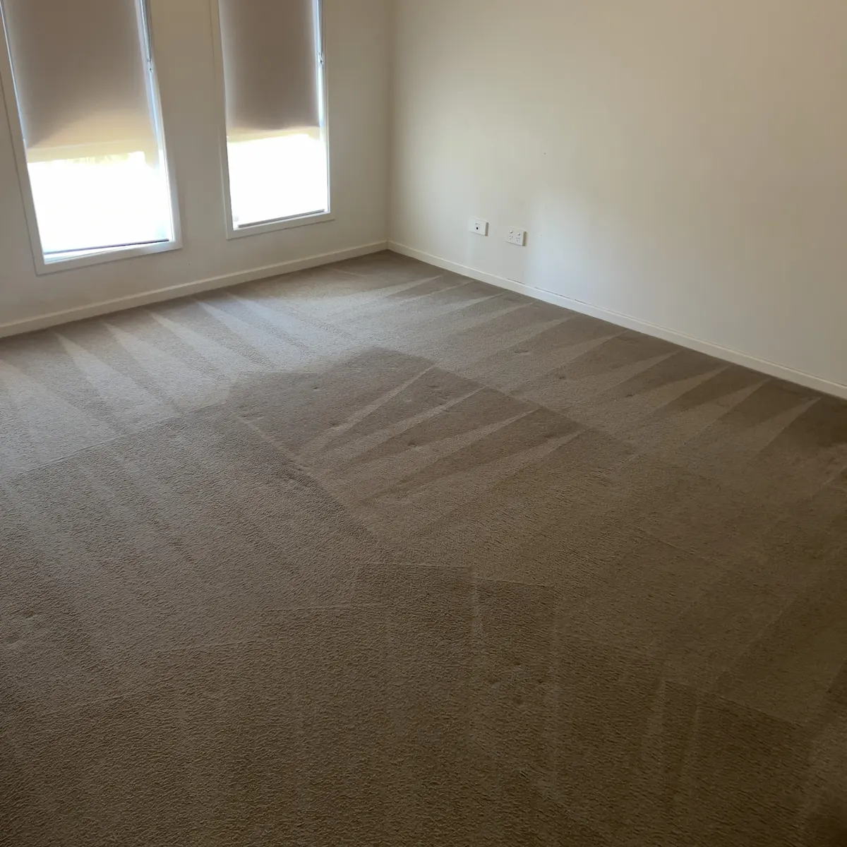Bedroom carpet cleaned wall to wall on a real Green Lion job across Melbourne's west
