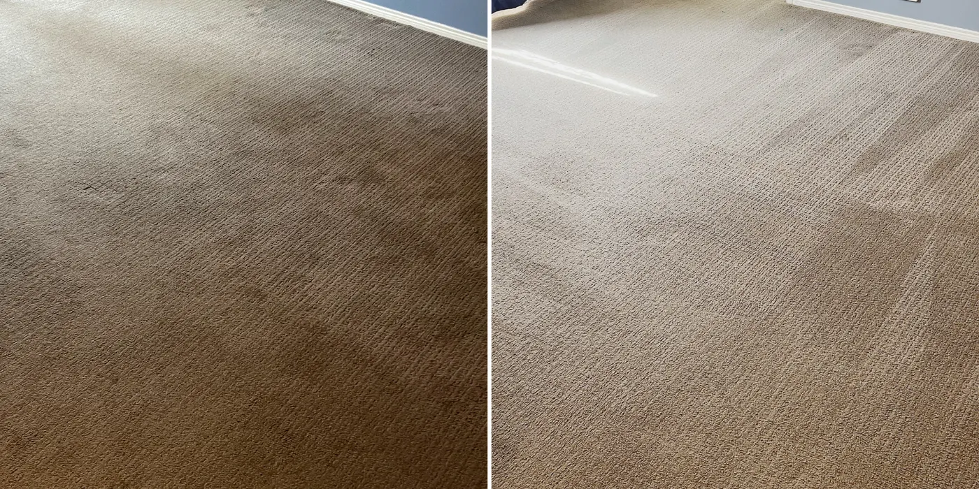 Carpet before and after cleaning by Green Lion, Melbourne's west