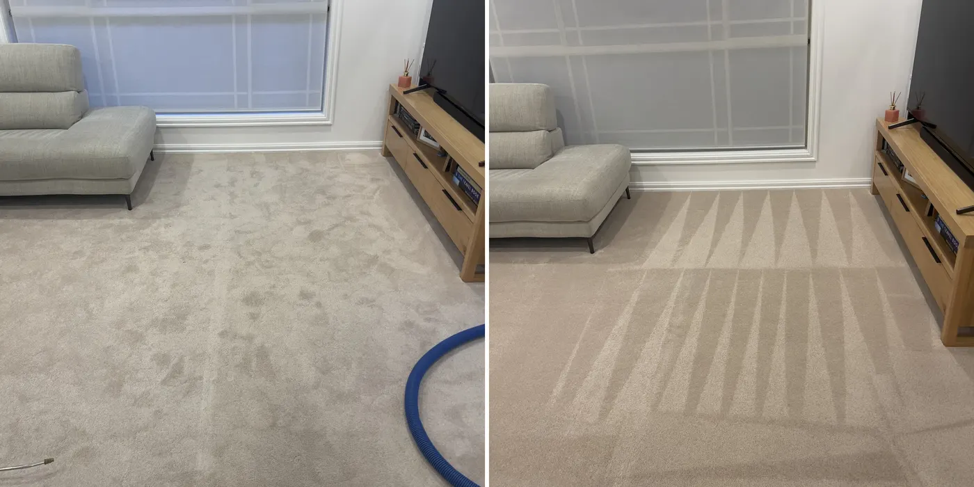 Living-room carpet before and after a Green Lion clean: the same corner, same angle, on a real job in Melbourne's west