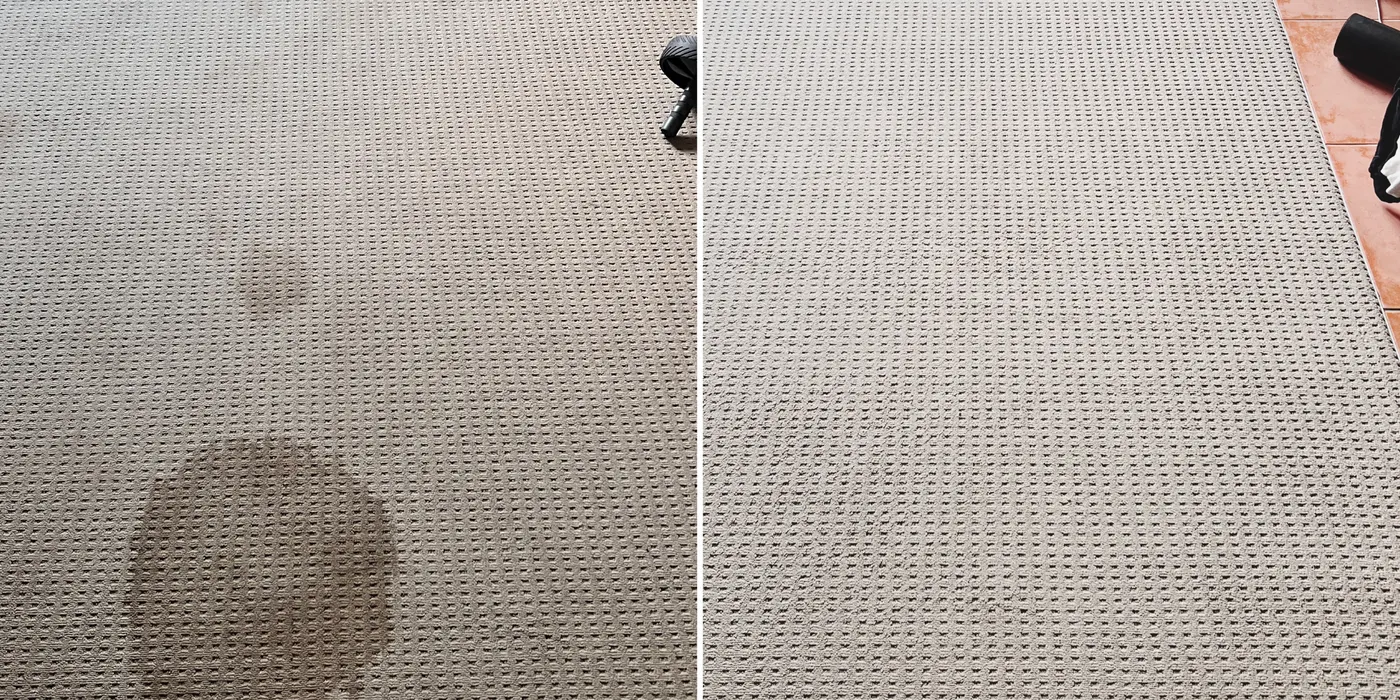 A large stain on pale carpet, before and after cleaning