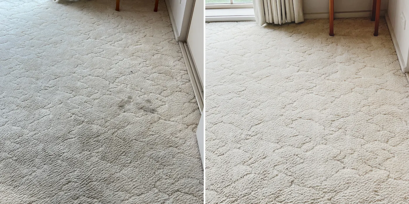 Carpet before and after a Green Lion deep clean, real job, Melbourne's west