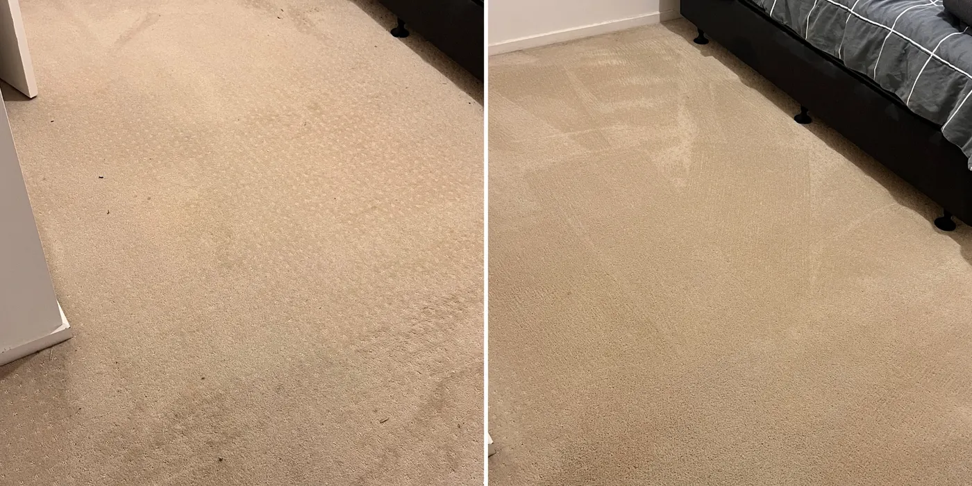 Living-area carpet before and after cleaning, same room, same angle