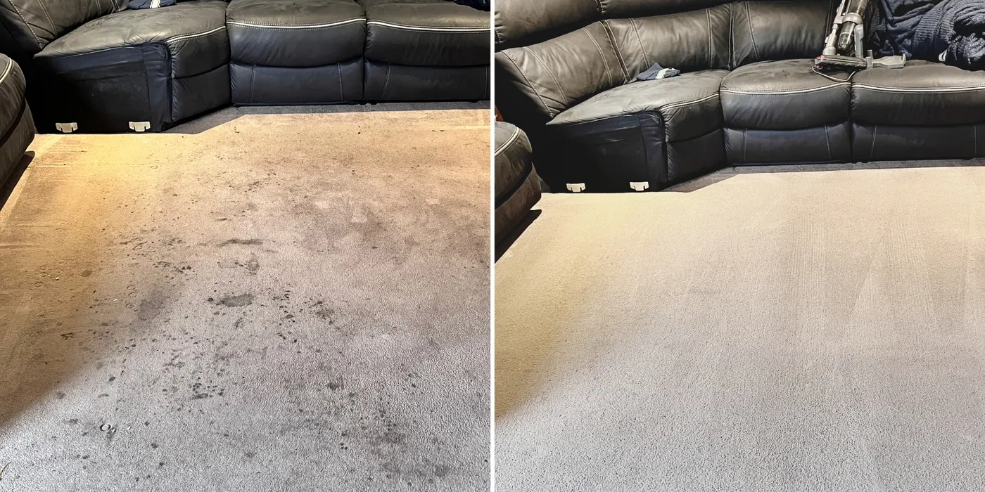 Carpet before and after a deep clean by Green Lion, Melbourne's west