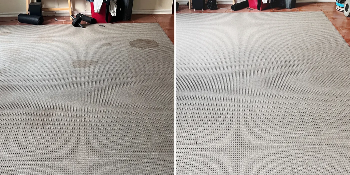 Grey carpet with a spot, before and after a Green Lion clean