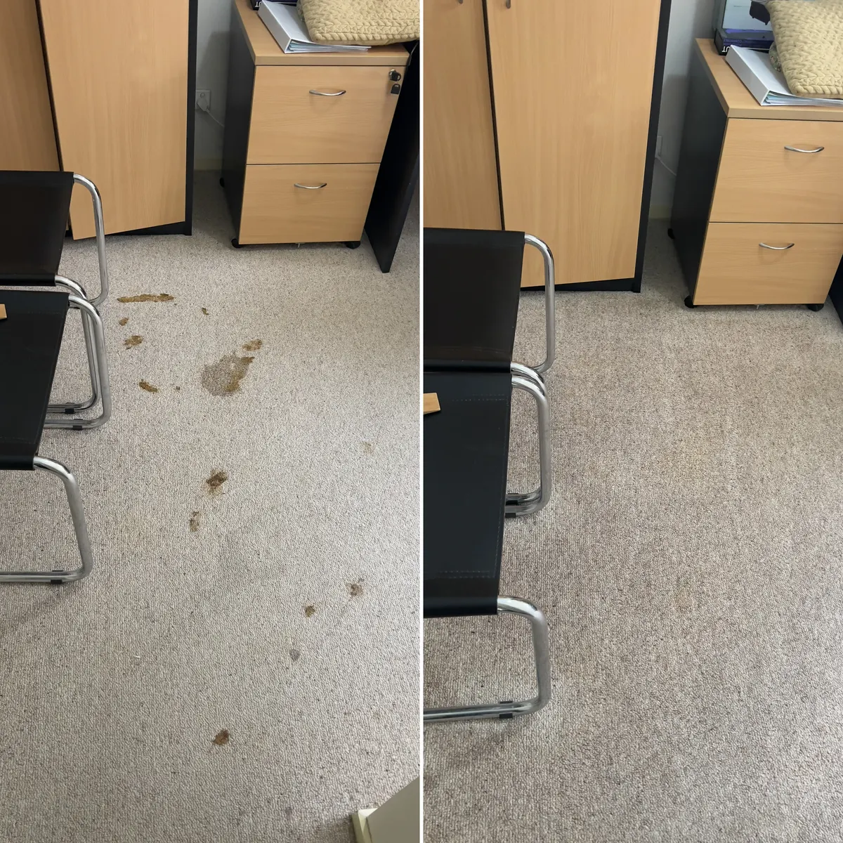 Pet stains on a beige carpet beside a row of chairs in Wyndham Vale, before and after cleaning. The trail of brown marks is gone.