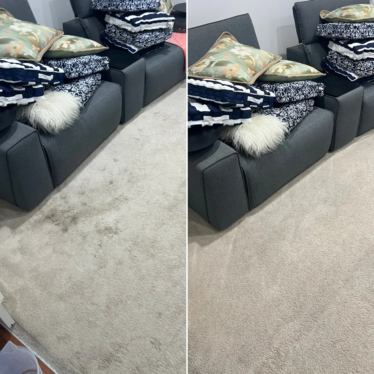 Lounge-room carpet in front of the sofa at a Point Cook job, before and after. The dark traffic patch is gone.