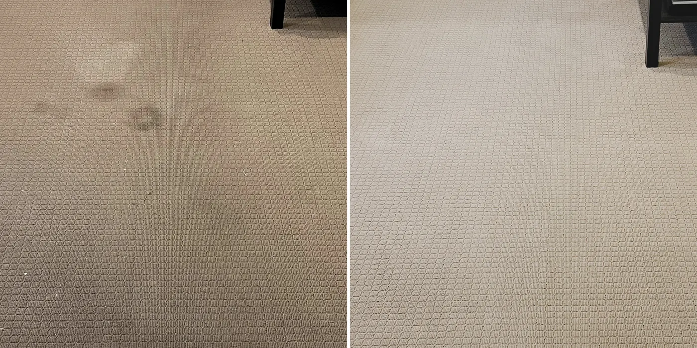 Carpet before and after hot-water extraction by Green Lion