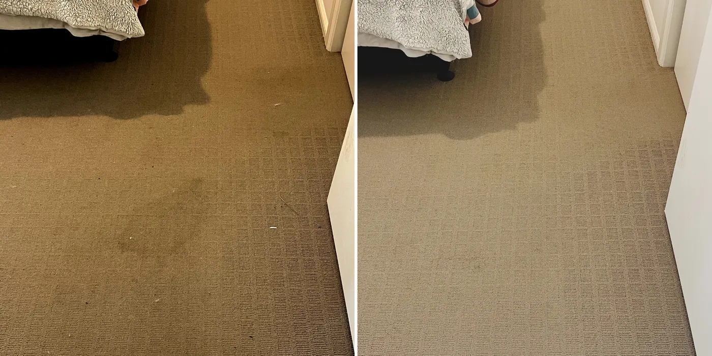 Deep clean result on a well-lived-in carpet by Green Lion