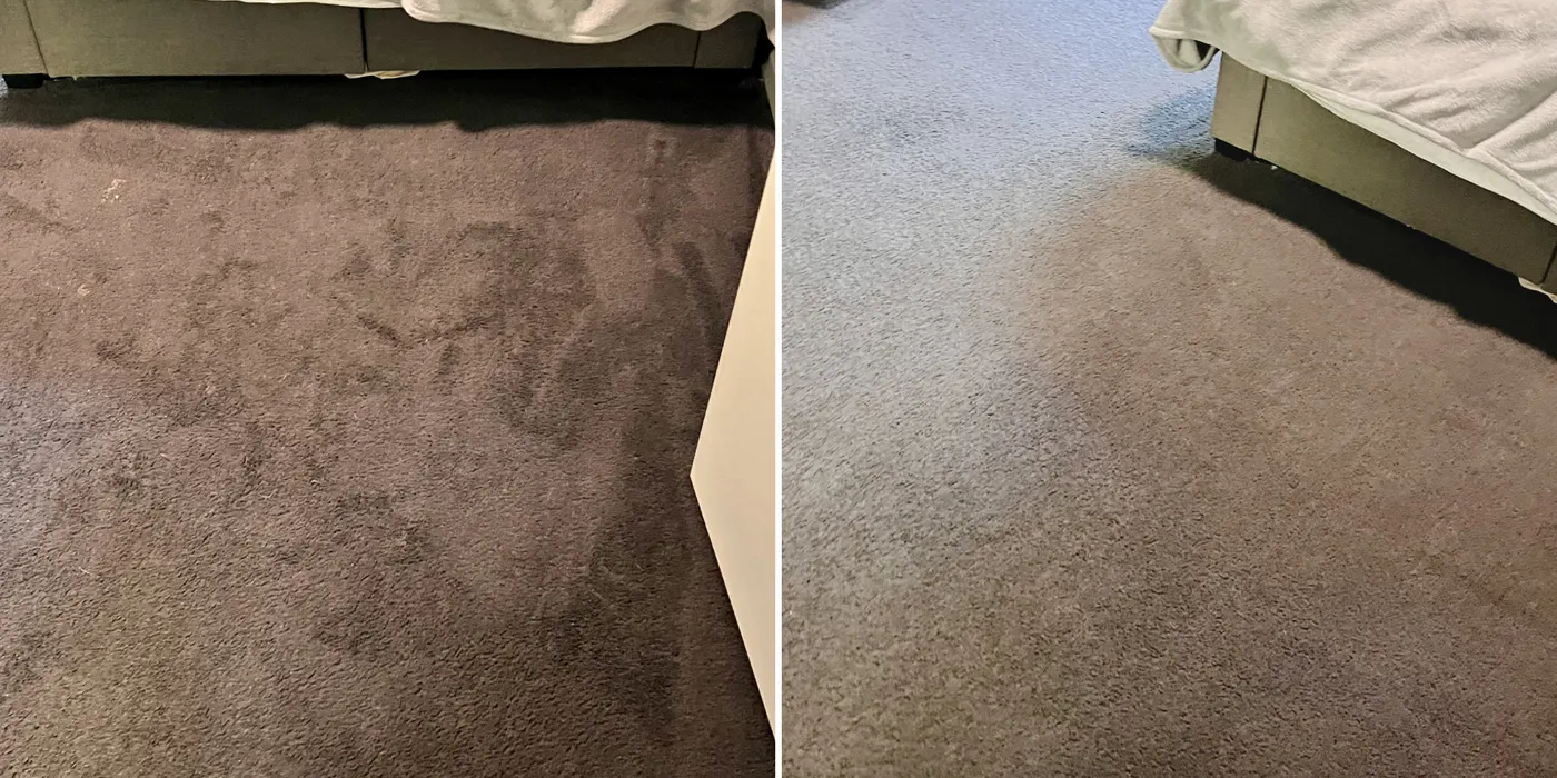 Carpet before and after hot-water extraction on a western Melbourne job