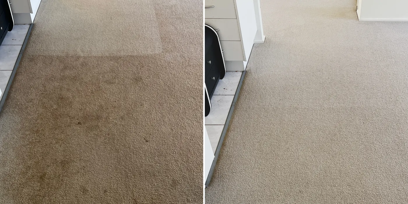 Carpet before and after a Green Lion hot-water extraction clean