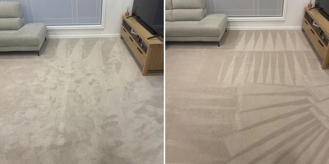 Lounge carpet before and after hot-water extraction, the soiling through the middle of the floor lifted out
