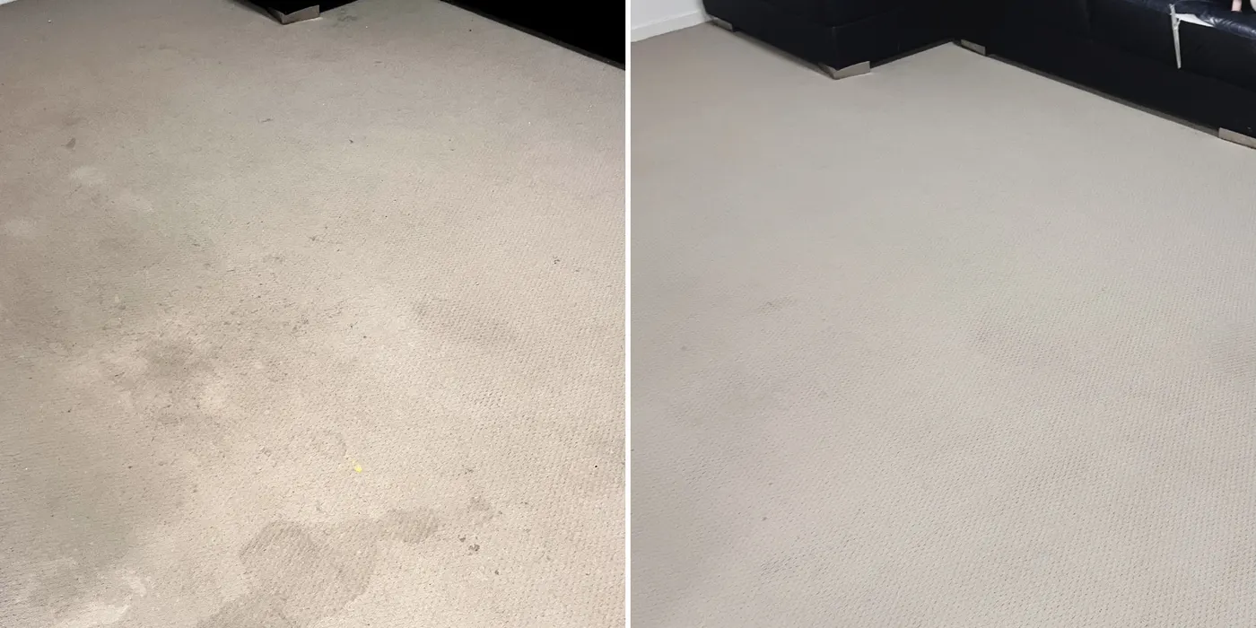 Before and after carpet steam cleaning result in a Melbourne home
