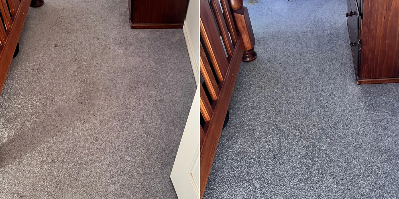 Before and after deep carpet cleaning removing stains and traffic marks