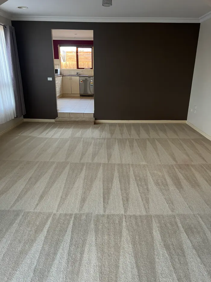 Carpet cleaning result by Green Lion Carpet Clean, Point Cook
