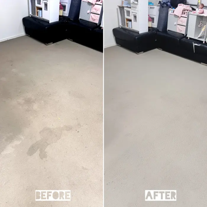 Carpet cleaning result by Green Lion Carpet Clean, Point Cook