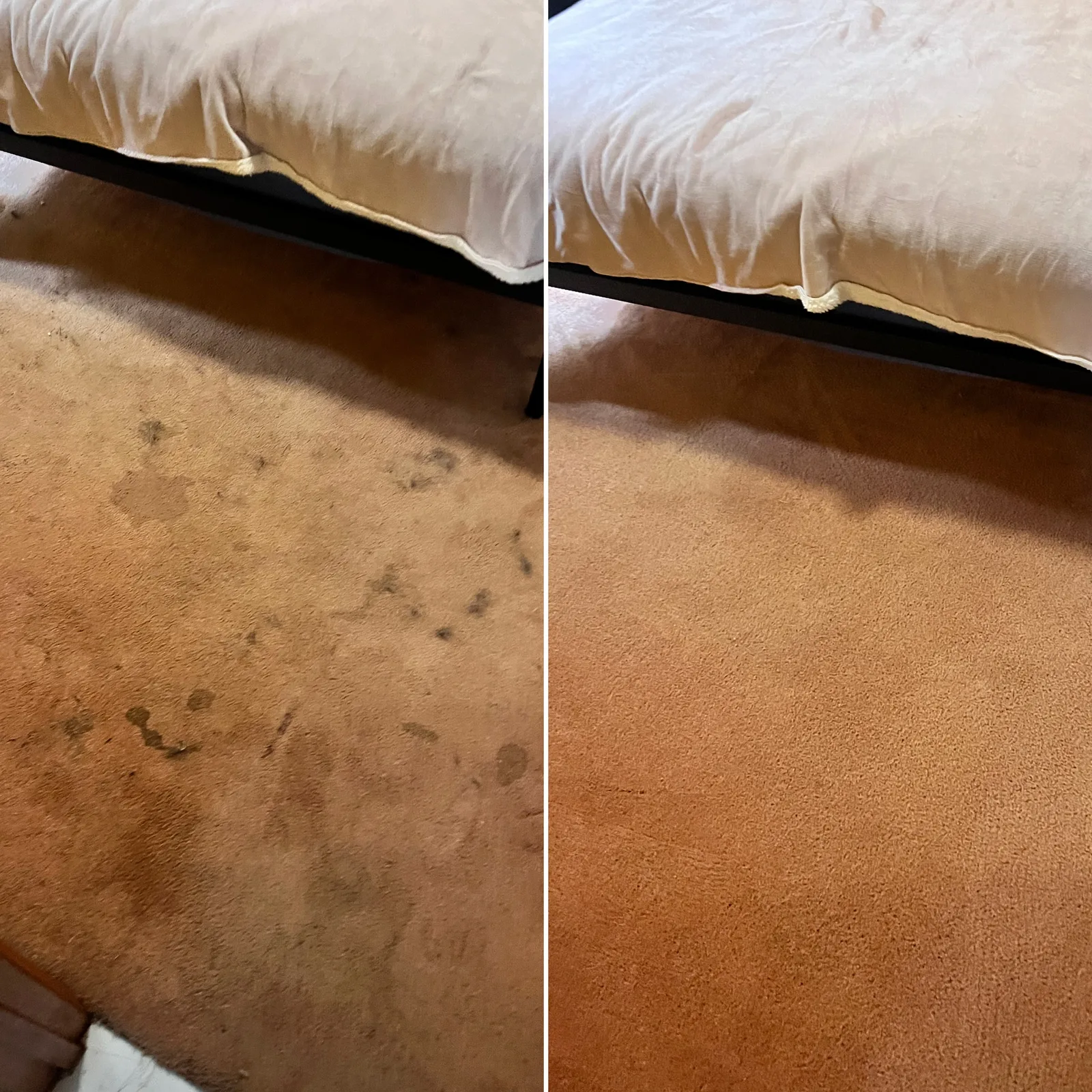 Stained bedroom carpet before steam cleaning beside the same carpet after cleaning by Green Lion