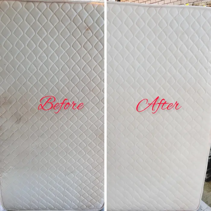 Mattress cleaning result by Green Lion Carpet Clean, Point Cook
