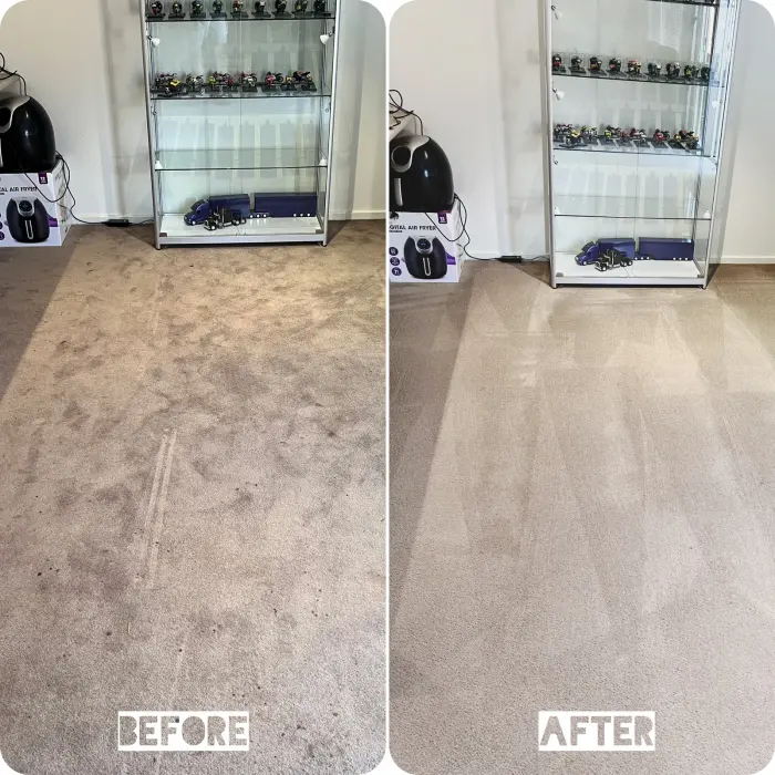Pet Odour cleaning result by Green Lion Carpet Clean, Point Cook