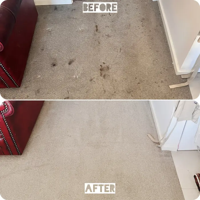 Pet Odour cleaning result by Green Lion Carpet Clean, Point Cook