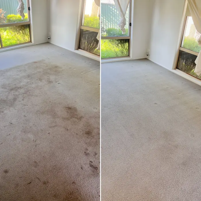 Pet Odour cleaning result by Green Lion Carpet Clean, Point Cook