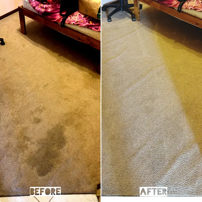 Pet Odour cleaning result by Green Lion Carpet Clean, Point Cook