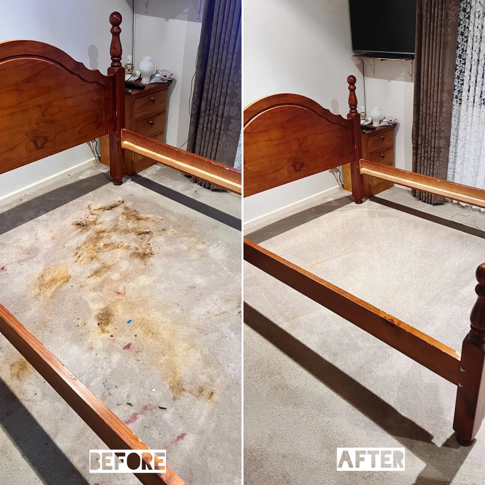 Carpet with pet urine staining before and after enzyme treatment by Green Lion, Melbourne’s west