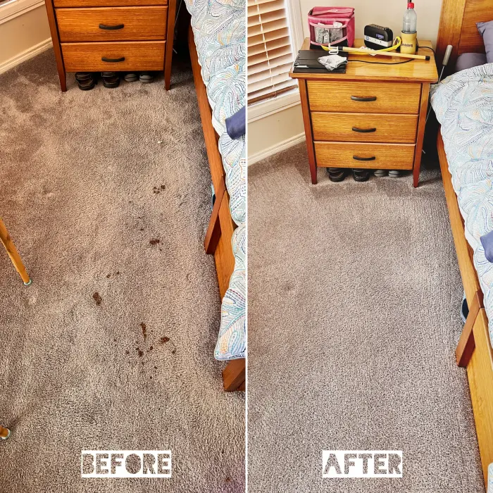 Pet Odour cleaning result by Green Lion Carpet Clean, Point Cook