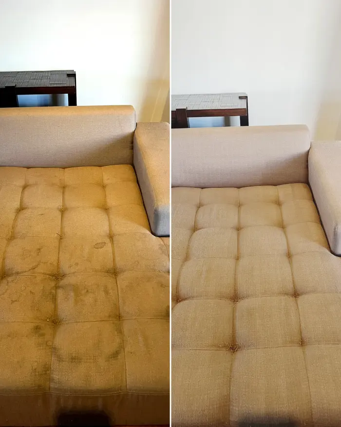 Couch & Sofa cleaning result by Green Lion Carpet Clean, Point Cook