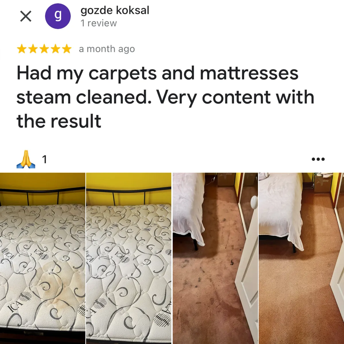 Five-star Google review from gozde koksal, shown with Green Lion's photos from the job