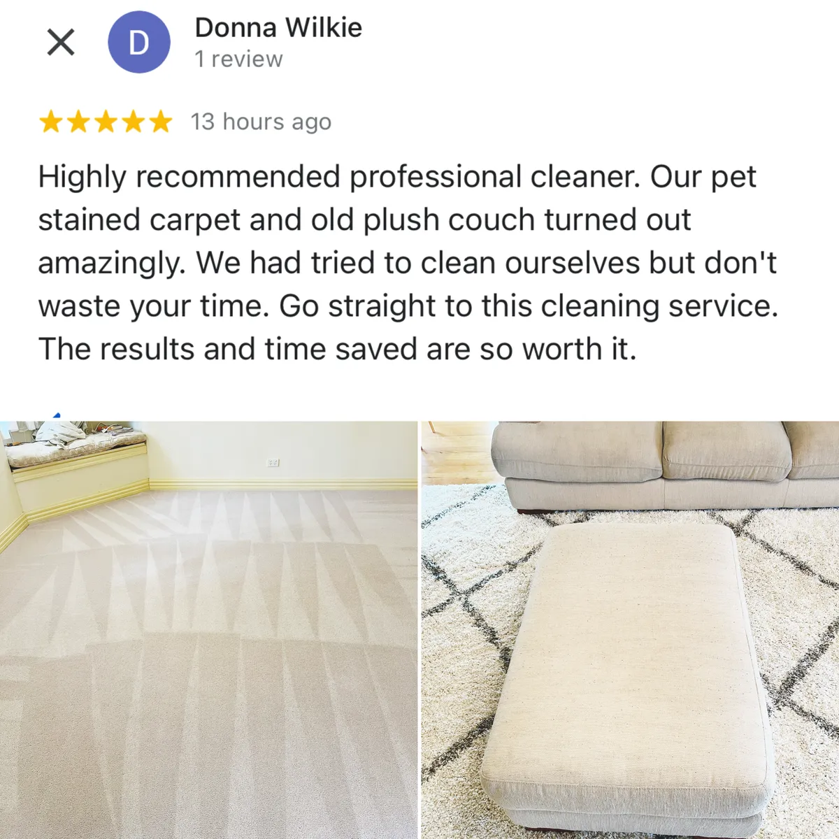 Five-star Google review from Donna Wilkie, shown with Green Lion's photos from the job