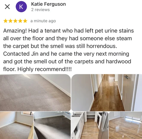 Five-star Google review from Katie Ferguson with their own before and after photos of the clean