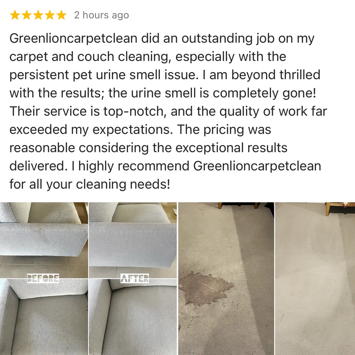 Five-star Google review of a carpet and couch clean for a pet urine smell, shown with Green Lion's photos from the job