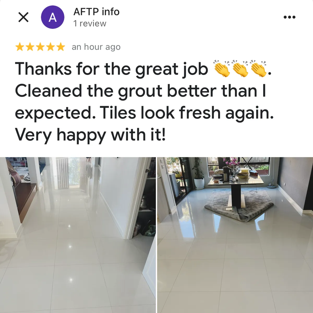 Five-star Google review from AFTP info, shown with Green Lion's photos from the job