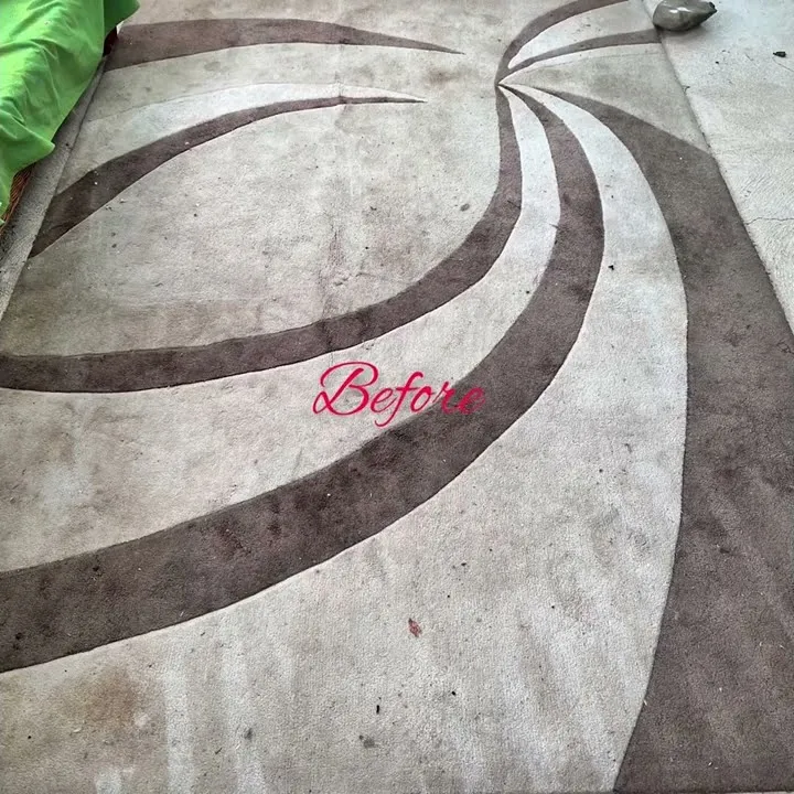 Trashed rug brought back — great outcome