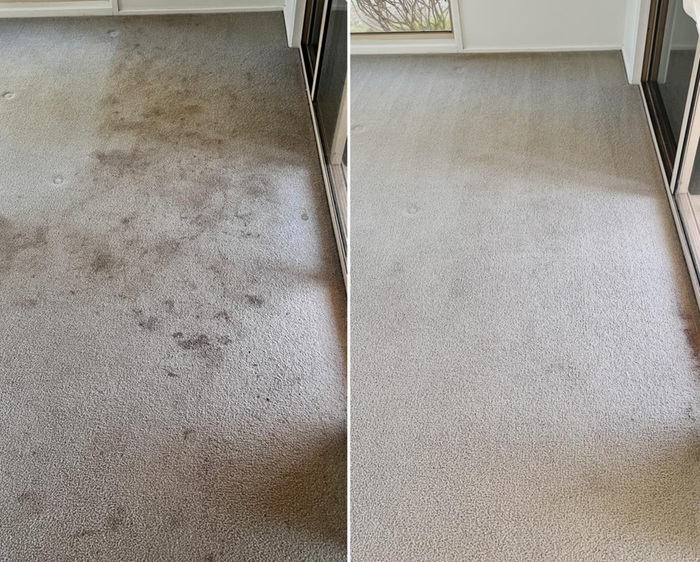 Side by side photo showing the results of steam cleaning on carpet.